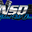 Natural State Diesel logo